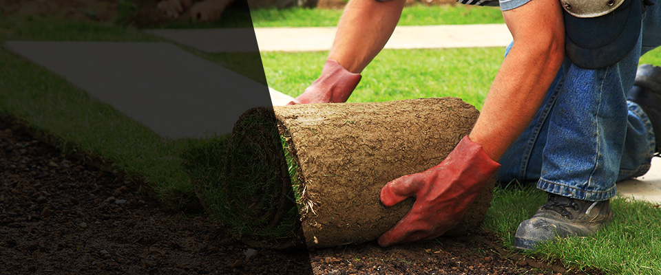 Oroville Landscapers